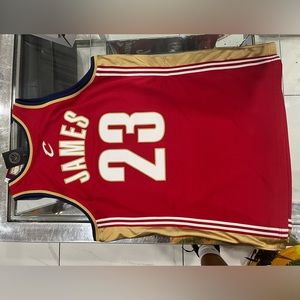 LeBron James hardwood classic